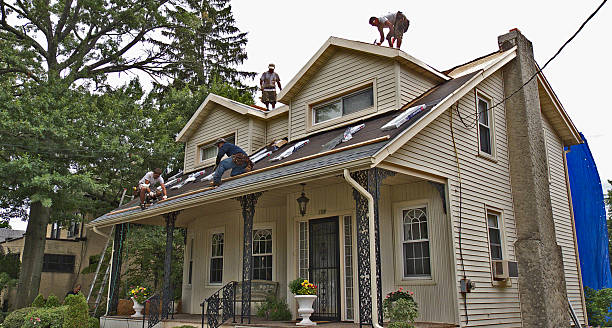 Best Roof Gutter Cleaning  in Triangle, VA